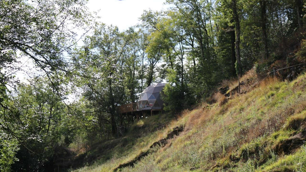 Dôme installé à la lisière d'un bois